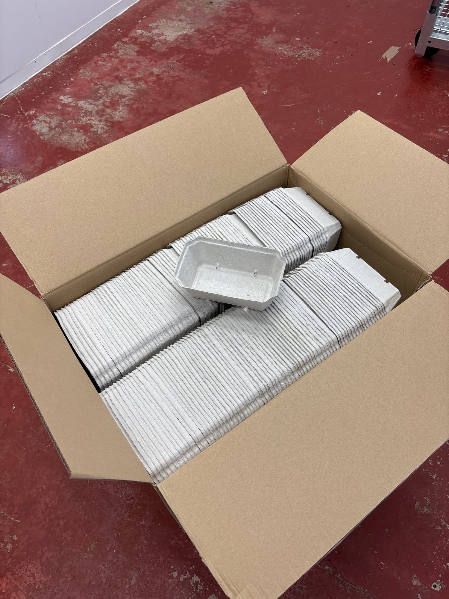 Pulp punnet 250g ~500units 1 box